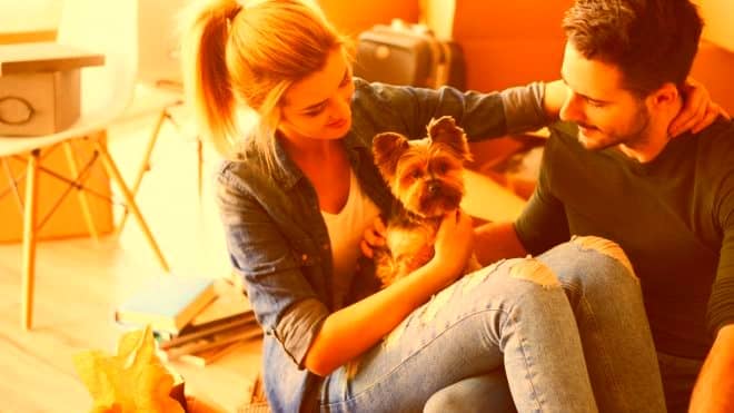 Moving with Pets: How to Make it Easier